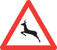 Wildwechsel