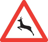 Paso de animales salvajes